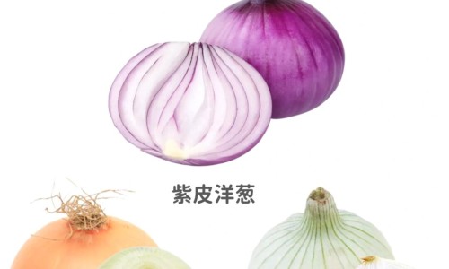 槐花蜜的营养成分网-分享槐花蜜的营养成分是洋槐皂苷吗，槐花蜜的营养成分表知识库